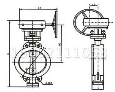 D373H渦輪對夾式硬密封蝶閥結(jié)構(gòu)圖