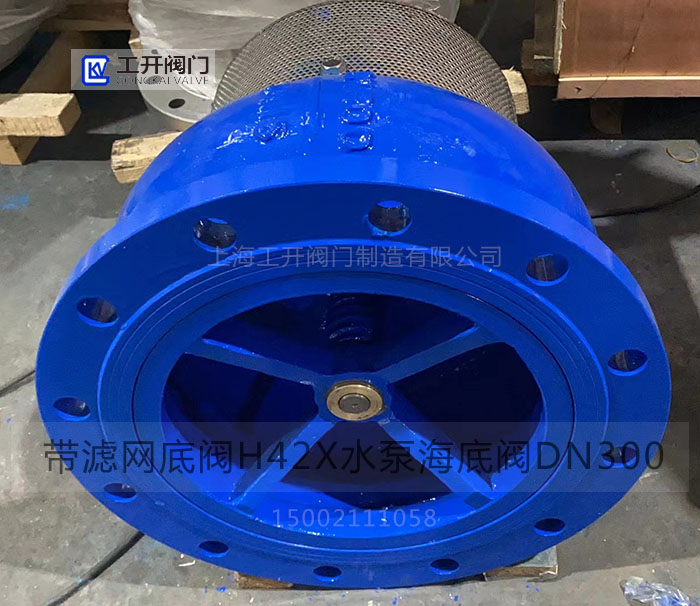 過(guò)濾網(wǎng)水泵法蘭底閥 過(guò)濾網(wǎng)水泵法蘭底閥