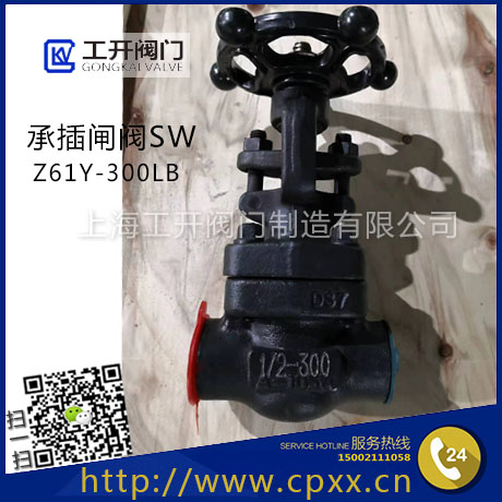 鍛鋼閘閥A105 鍛鋼閘閥A105